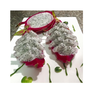 ผลไม้มังกรสดหั่นสี่เหลี่ยมลูกเต๋า, iqf แช่แข็งสีแดง/ขาว, อุปทานปริมาณมากสำหรับน้ำผลไม้, แยมและการผลิตผงจากเวียดนาม - Product Image 3