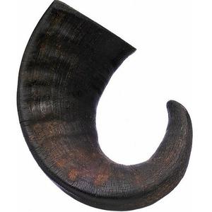 Handmade Natural Sheep Chewing Horn for Dogs Wholesale <b>Water</b> Sheep Chewing Horn for Dogs with High <b>Proteins</b> - Product Image 2
