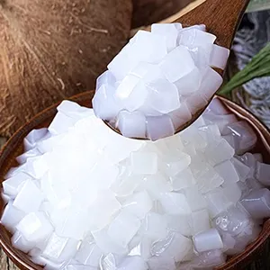 畅销椰子果冻Nata de Coco 100% 天然椰子从越南