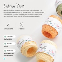 Fil de raphia biologique 100% pour sacs et chapeaux d'été en filet Lattan (40g) – Crochet DIY Corée du Sud – Mélange de couleurs naturelles de haute qualité