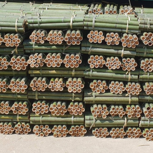 Estacas de Bambú Resistentes para Soporte de Jardín |   Ecológico, Ligero y Fácil de Procesar - Product Image 3