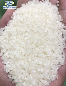 Actualización de arroz blanco orgánico vietnamita, arroz jazmín japonés fresco, textura dura de grano largo, 4-6mm, 2 años de vida útil, WhatsApp - Product Image 5