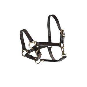 Oem Nouveau licou à cheval en cuir véritable personnalisé Dressage Riding Purpose Indian Manufacturer Prix de gros Plain Halter AL - Product Image 1