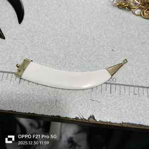 Handmade Natural Buffalo Bone Tusk Pendants Octagon Shape Gold Plated Brass Cap <b>Boho</b> Jewelry Charms DIY <b>Necklace</b> Making Conifer - Product Image 3