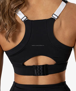 Bas quantité minimale de commande OEM ODM haute qualité femmes Gym rembourré Sexy sans couture à fort Impact Fitness OEM personnalisé Spandex Anti Logo Style plomb - Product Image 2