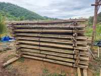 PENJUALAN BESAR TONGKAT BAMBU ALAMI dan BERKELANJUTAN/ TONGKAT BAMBU HIJAU/ TONGKAT BAMBU UNTUK TAMAN DARI ECO2GO VIETNAM