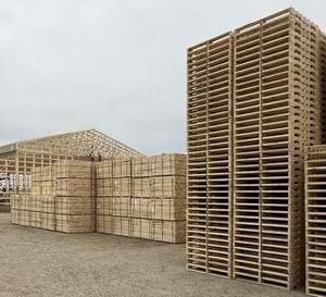 Palet de madera EPAL Euro de alta calidad para embalaje logístico a precio mayorista - Product Image 2