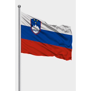 Custom Slovenia <b>Flag</b> Digital Printing Aluminum <b>Pole</b> Polyester Silk Display Automotive Insurance Education Travel Agency - Product Image 1