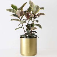 Pot Tanaman Stainless Steel Lukis Tangan Ramah Lingkungan, Model Kerajinan Lengkap, Penjualan Terlaris, Bergaya, Cocok untuk Dekorasi Rumah, Kantor, Restoran
