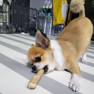 Accesorios para Mascotas, Juguete Masticable para Perros Mordedores Agresivos, Palitos de Madera Natural de Café de Vietnam HOANG LINH SG - Product Image 5