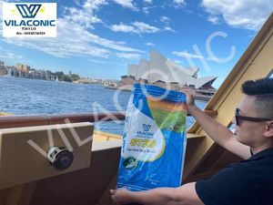 Vente en gros de riz court à grain rond de qualité supérieure riz japonica de couleur blanche du Vietnam - Product Image 6