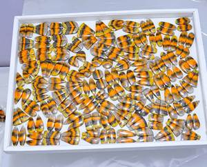 Wholesale Customizable <b>Bumble</b> <b>Bee</b> Jasper Pair Natural Jasper Pair Gemstone Loose Cabochon Gemstone For Use Pair Jewellery Making - Product Image 2