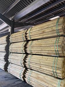 Mango de Escoba de Madera Barato Hecho en Sudáfrica - Product Image 4