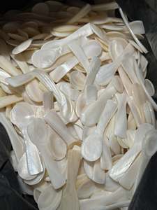 Exquis Miroir Polonais Vietnamien Mère Perle Conception Conque Cuillère Durable Gourmet Caviar À Manger Poignée Export Qualité Artisanat - Product Image 3