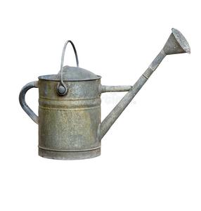 Arrosoir pour fleurs de jardin Arrosoir blanc imprimé en poudre et pot en métal pour plantes d'intérieur et d'extérieur - Product Image 2