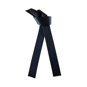 Cinturón de artes marciales negro personalizado de 8,6 pies, doble costura suave y largo, para Karate, Taekwondo, Judo, Jiu-Jitsu, fabricado en fábrica - Product Image 1