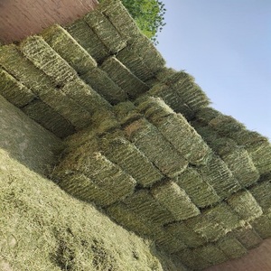 Balles et granulés de luzerne de qualité supérieure, luzerne séchée et fraîche, herbe à bas prix - Product Image 4