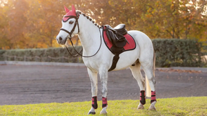 Bantalan sadel kotak kontak dekat, perlengkapan kuda kain sadel Numnah, aksesori caballs - Product Image 4