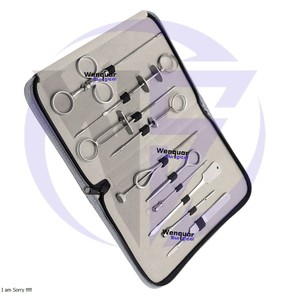 Juego de cánula y aguja para ubre de tetina, 10 Uds., herramientas veterinarias de acero inoxidable para ganado y ganado, cánula para tetina de ganado lechero - Product Image 3