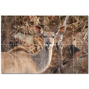 Carreaux de céramique muraux en forme de cerf PT500459 36 "W X 24" H Lot de 24 carreaux de céramique 6x6 - Product Image 1