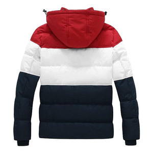 Chaqueta Acolchada con Capucha para Hombre, 2026, Poliéster/Nailon, Casual, Invierno, Impermeable, Ecológica, Resistente al Viento - Product Image 2