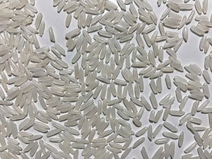 JORDAN IMPORTA ARROZ DE VIETNAM |   ARROZ JORDAN EN INGLÉS: Japonica, Arroz Jazmín, Arroz de Grano Largo - Product Image 2