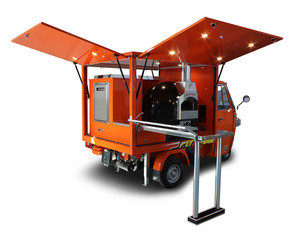 Triciclo Motorizado de Carga con Carrocería Cerrada BOrange, Capacidad de Carga 100-200 kg, 3 Pasajeros, 200-250 W, 36 V, 30-50 km/h - Product Image 6