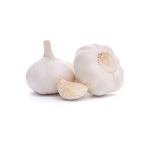 Ajo pelado fresco al por mayor a precio barato a la venta - Product Image 6