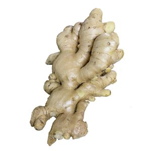 Jengibre Fresco de Alta Calidad de Nueva Temporada 2024, Procesamiento Crudo - Product Image 1
