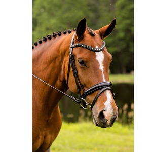 Brida de cuero para filete de caballo de alta calidad nueva al por mayor en negro Brida de cuero para filete de caballo de alta calidad en marrón - Product Image 1