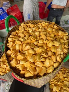 MEILLEUR VENDEUR OFFRE DE JACKFRUIT IQF CONGELÉ DU VIETNAM HAUTE QUALITÉ ET PRIX CONCURRENTIEL - Product Image 6