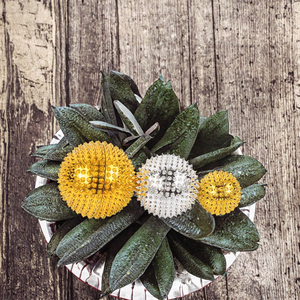 เครื่องนวดเท้าและขาแบบพรีเมียม - Product Image 2