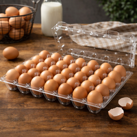 Boîte d'emballage en plastique PET transparent jetable pour œufs, type clamshell, 4-30 œufs, conteneur transparent de qualité alimentaire, vente en gros