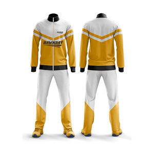 Conjunto de Chándal Deportivo Personalizado OEM y Pantalones para Hombre, Mujer y Jóvenes, Ropa Deportiva de Equipo, Traje de Entrenamiento - Product Image 5