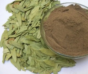 Poudre d'extrait pur de feuilles de séné avec 40 % de sennosides, extrait naturel à base de plantes pour compléments alimentaires, produits de bien-être - Product Image 4