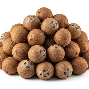 Noix de coco brunes fraîches pour l'exportation en vrac Semi décortiquées Idéal pour l'extraction d'huile d'eau de noix de coco potable et l'utilisation de l'industrie alimentaire - Product Image 5