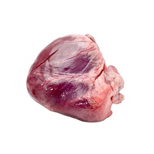 Cœur de bœuf congelé de qualité supérieure - Fournisseur en gros de cœurs de bœuf - Product Image 5