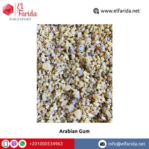 Confiserie de gomme arabique de qualité supérieure de haute qualité meilleure vente prix de gros auprès d'un exportateur de confiance - Product Image 3