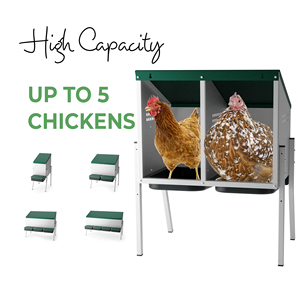 MG02-WS Two-Compartment Metal Laying Nest Box for 10 Chickens with Plastic <strong>Egg</strong> Tray and Metal Legs for Safe <strong>Egg</strong> <strong>Harvesting</strong> - Product Image 6