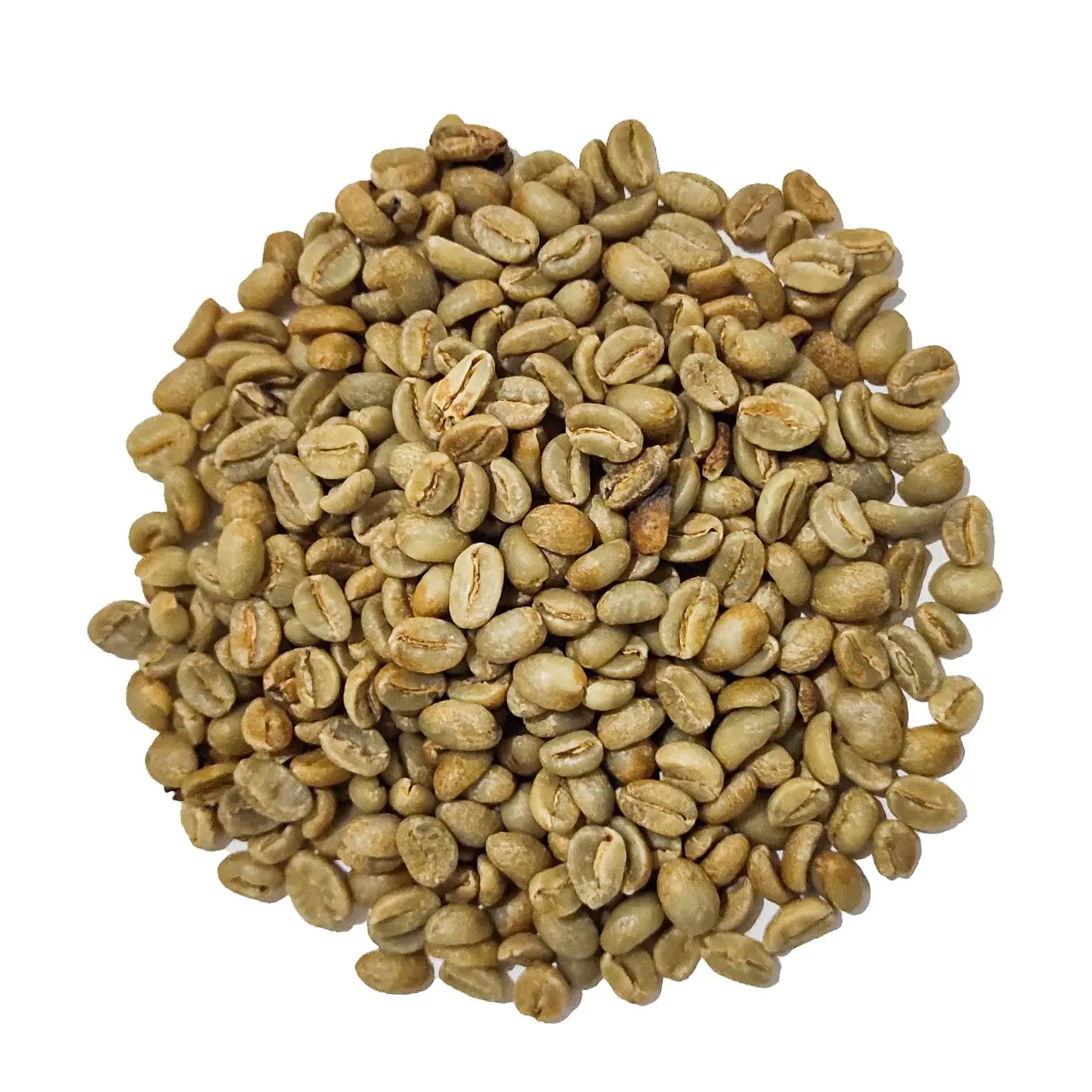 Premium Coffee Orange Bourbon Coffee Beans Washed Process Huila Colombia Green Coffee Beans Best Price