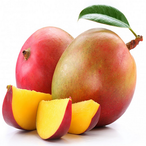 Mango Thai Fruit Grade Premium fresh Tasty Fruit mango fresh wholesale mango