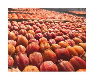 ลูกพลับอบแห้งจากธรรมชาติคุณภาพสูงจากเวียดนามลูกพลับอบแห้ง DDP-34มาตรฐานเกรดพิเศษจากธรรมชาติเพื่อการส่งออก - Product Image 5