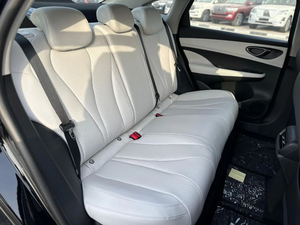 Sedán Híbrido Enchufable Usado 2024, Eficiente en Consumo de Combustible, Automático, >700km de Autonomía, Batería de 90-110kWh, Disponible para la Venta, Buen Estado - Product Image 6