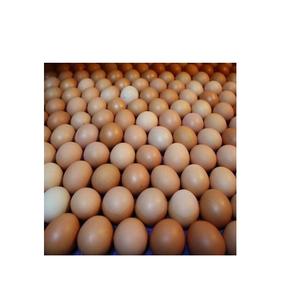 Precio al por mayor Blanco/marrón cáscara fresca Mesa pollo huevos a granel disponible para la venta - Product Image 2