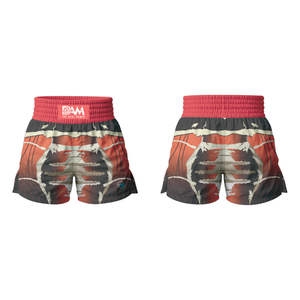 Short de combat MMA personnalisé pour hommes Kickboxing Grappling No Gi Compression Floral brodé Design avec décoration à volants - Product Image 3