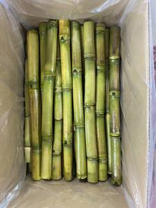 Productos de caña de azúcar orgánica de primera calidad Proceso BQF Patrón completo Fruta congelada Pelada Envasada al vacío - Product Image 5