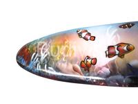 Décoration de planche de surf en bois de pin gravée à l'aérographe, thème poisson-clown, personnalisable en couleur et taille, pour la maison, à suspendre ou à poser sur table, vente en gros