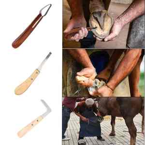 Kits de instrumentos veterinarios de la mejor calidad, cuchillo para pezuñas, pinzas para pezuñas, instrumento para el cuidado de caballos, cortadores de pezuña, Kits completos - Product Image 4