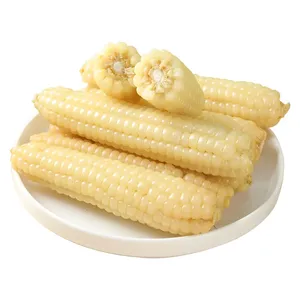 Maíz blanco de la mejor calidad, maíz blanco dulce estilo congelado a buen precio, venta al por mayor - Product Image 5