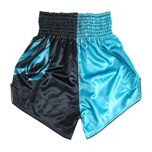 Short de boxe rétro Muay Thai brodé, vente directe d'usine, sport, course à pied, entraînement, short de boxe unisexe - Product Image 4